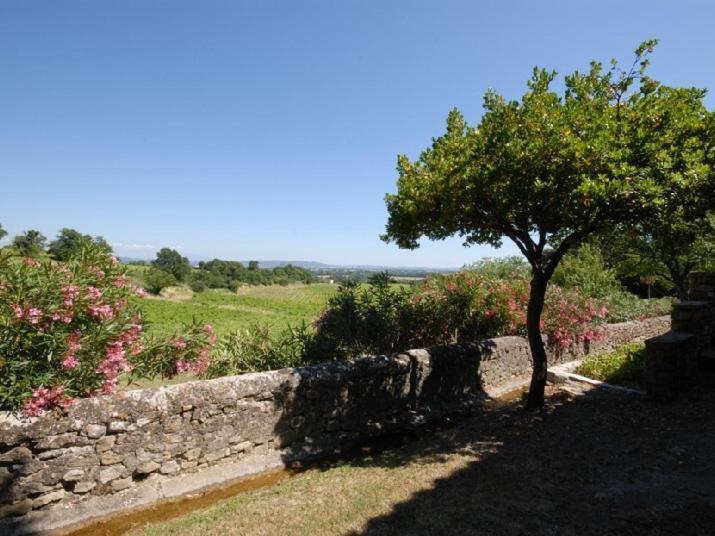 Domaine De Cousignac Bed & Breakfast Bourg-Saint-Andeol Luaran gambar